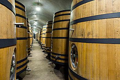 开发商公布《美少女梦工厂2韶华再续》上市宣传片